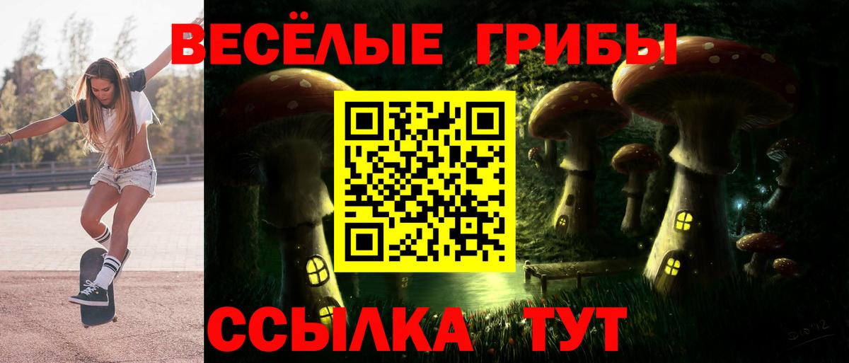 Псилоцибиновые грибы мухоморы  Вход с VPN  Иваново 